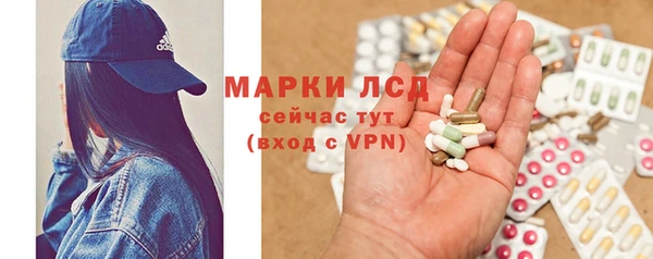 стафф Михайловск