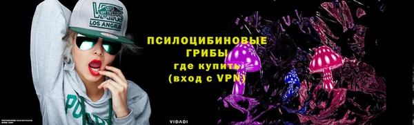 стафф Михайловск