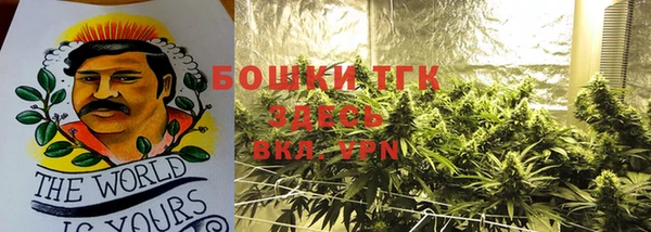 шишки Михайловка