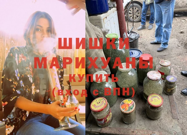 стафф Михайловск