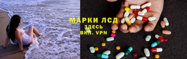 стафф Михайловск