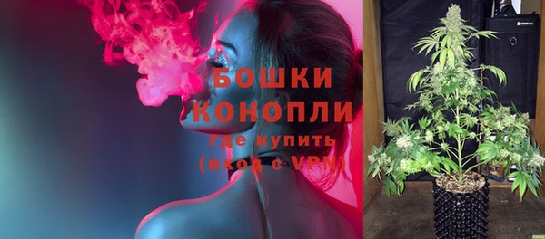 стафф Михайловск