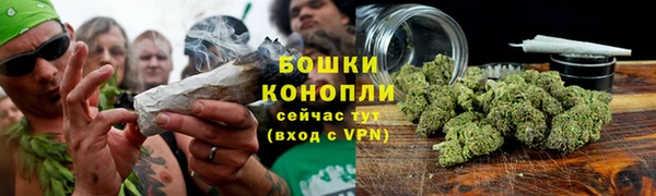стафф Михайловск
