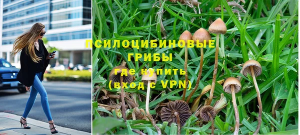 стафф Михайловск