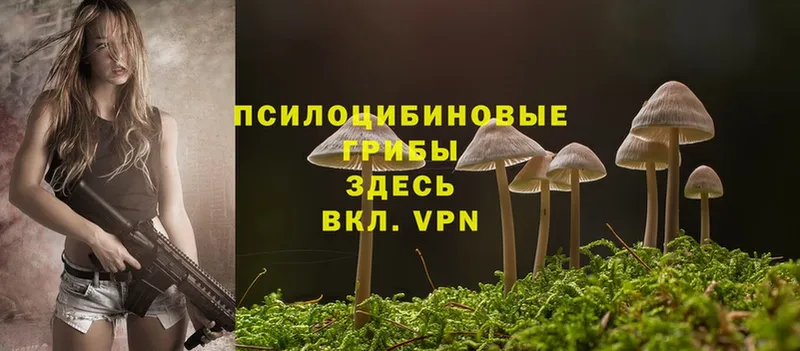 Псилоцибиновые грибы Magic Shrooms  где продают   Курск 