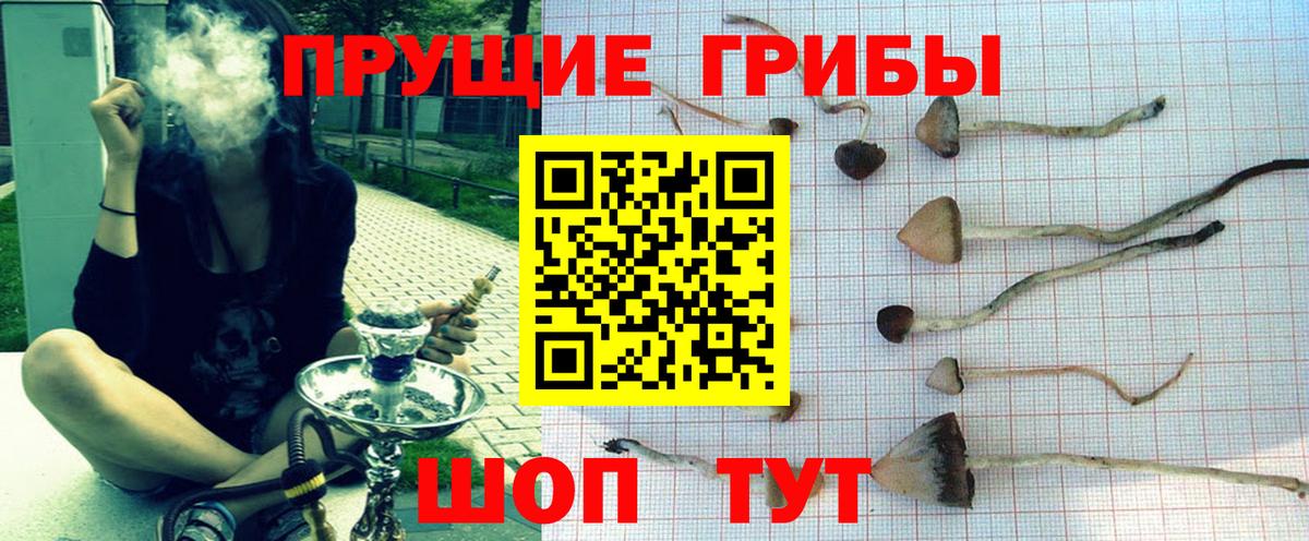 Галлюциногенные грибы прущие грибы Курск