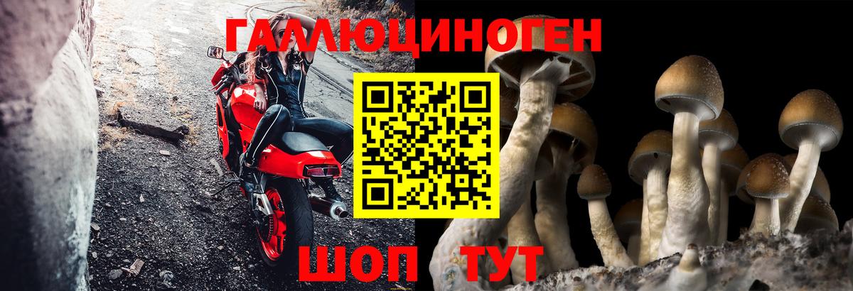 цена   Вход с VPN  Курск  Галлюциногенные грибы Magic Shrooms  Галлюциногенные грибы Magic Shrooms 